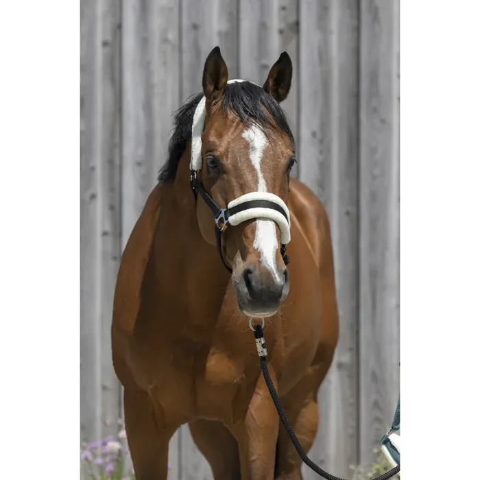 Synthetic sheepskin halter for horses Riding World