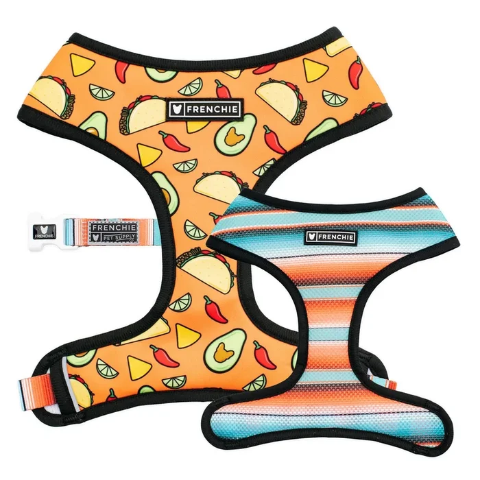 Taco Tuesday- Orange