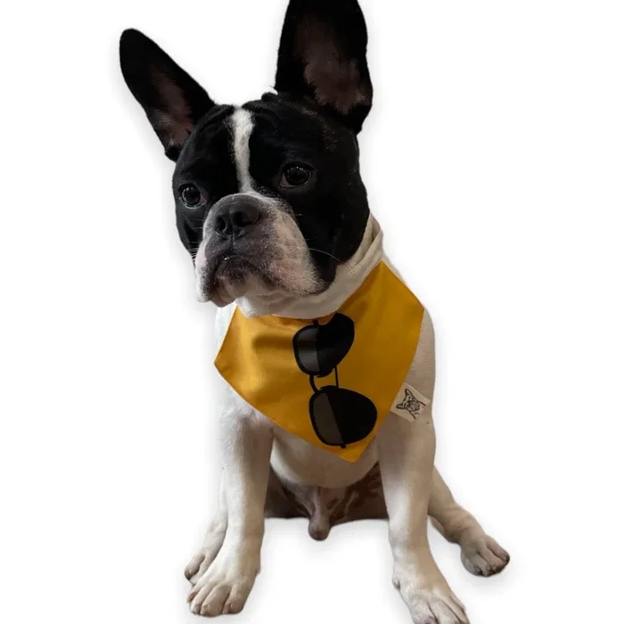 Talking Dog Club Beach Buns Bandana for Dogs and Cats (Yellow)