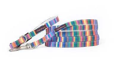 Teacup Rainbow Candy Stripe Collar/Harness/Lead – 112