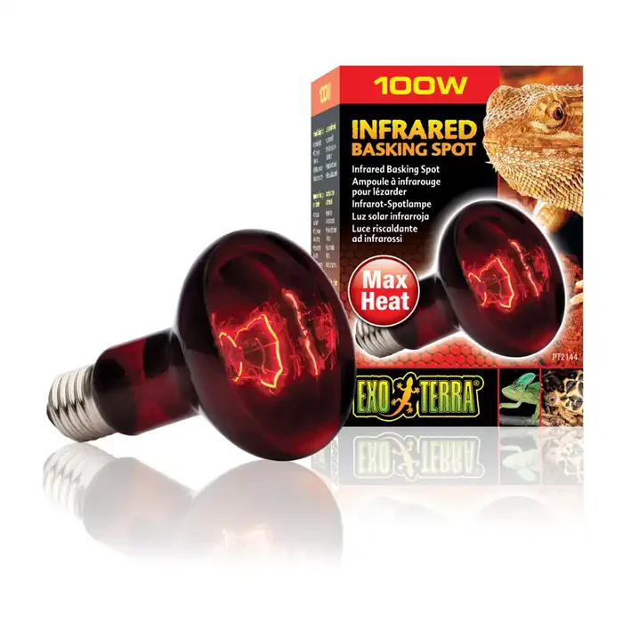 Terrarium lamp Exo Terra Basking Spot 100W [Size 8x8x11.5 cm]