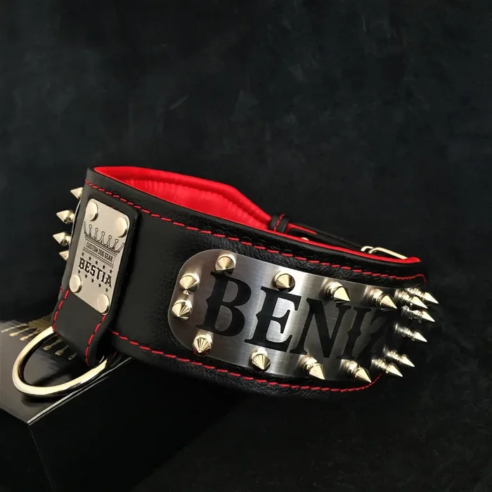 The “Kennel” collar- personalized!