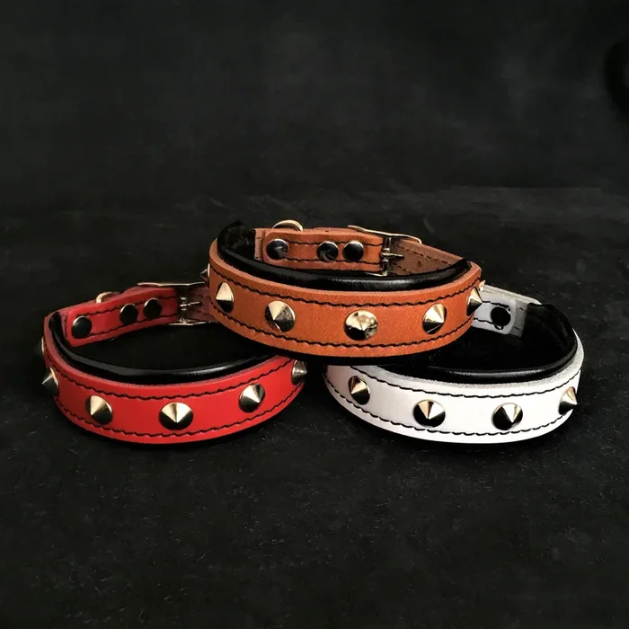 The “Superstar” puppy dog collar