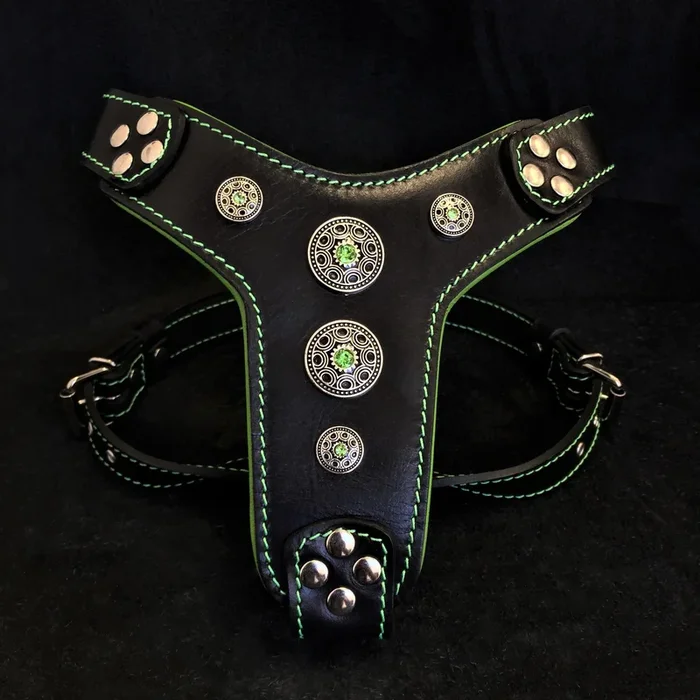 The ”Bijou” harness Black & Green Small to Medium Size
