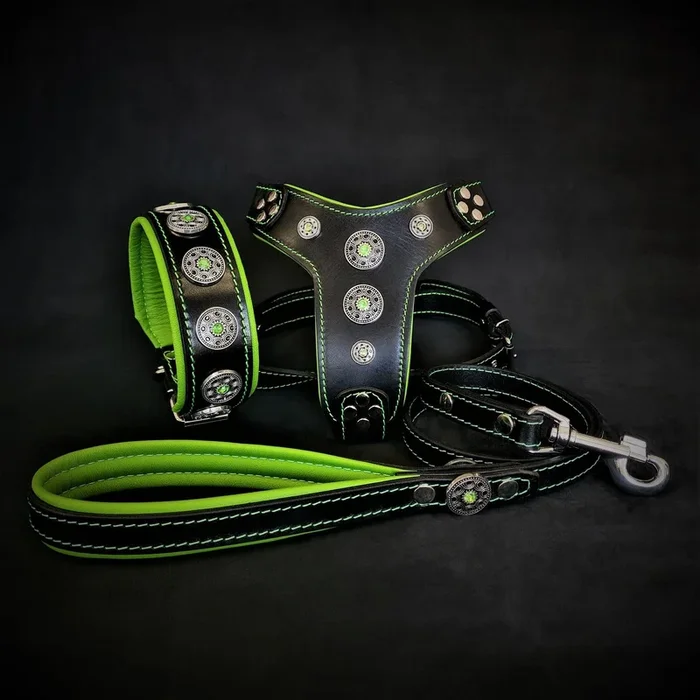 The ”Bijou” SET – Collar, Harness, Leash. Green