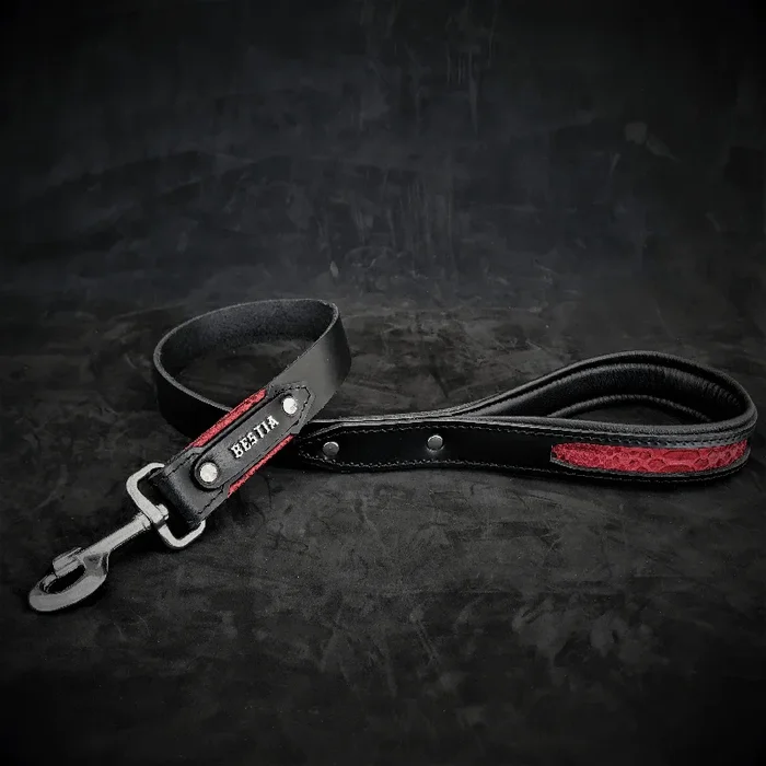 The ”Red Dragon” leash