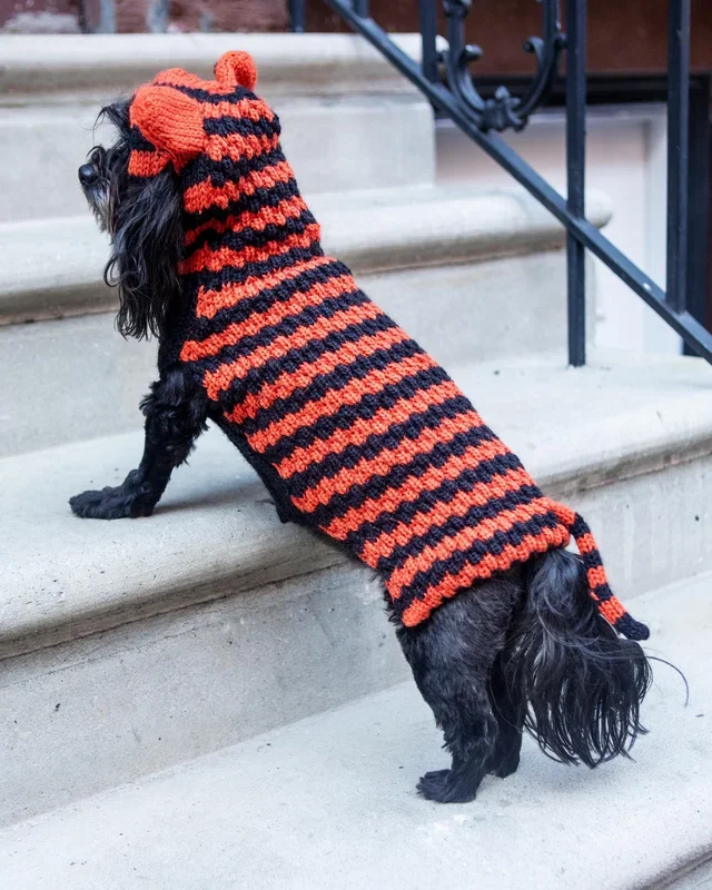 Tiger Hand-Knit Dog Sweater (DOG & CO. Exclusive) (FINAL SALE)