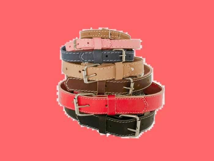 Traditional Soft Leather Dog Collar from Euro Dog