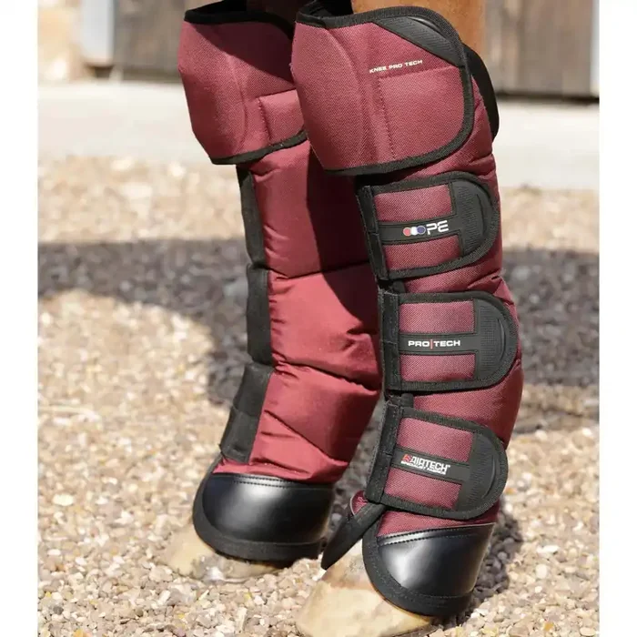 Transport gaiters for horses Premier Equine Ballistic Pro-Tech