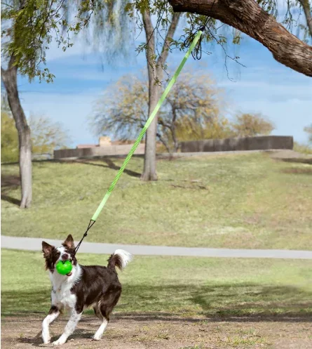 TREE Tugger Enrichment by Jolly Knot Pets Dog Toy