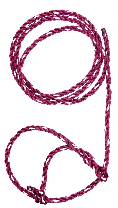 Troyer’s Poly Calf Halter
