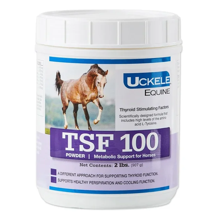 TSF 100, Thyroid Support Supplement for Horses, Powder