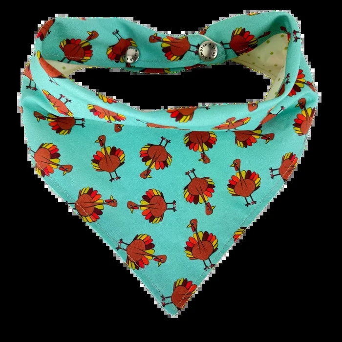 Turquoise Thanksgiving Turkeys Dog Bandana – 1035