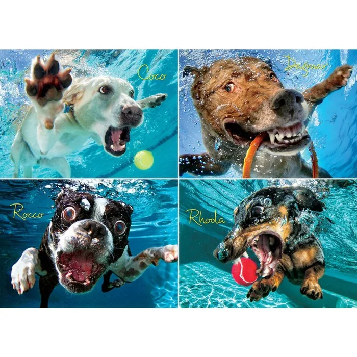 Underwater Dogs Puzzle for Humans – Pool Pawty
