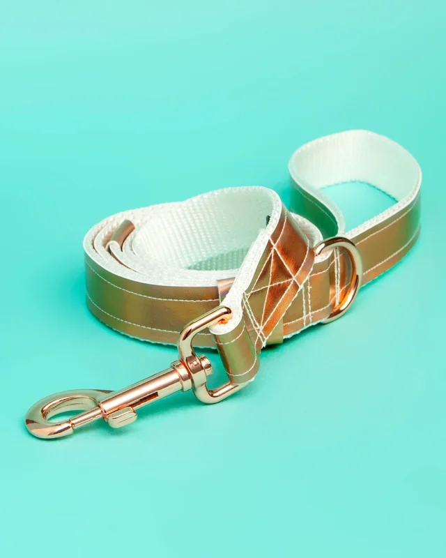 Unicorn Shimmer Vegan Leather Dog Leash (FINAL SALE)