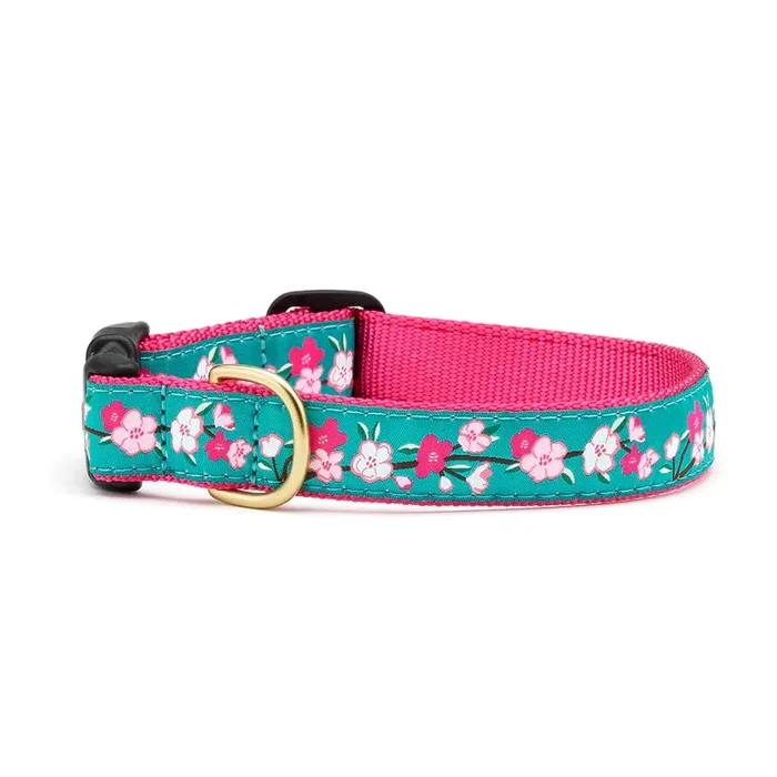 Up Country – Cherry Blossoms Collar