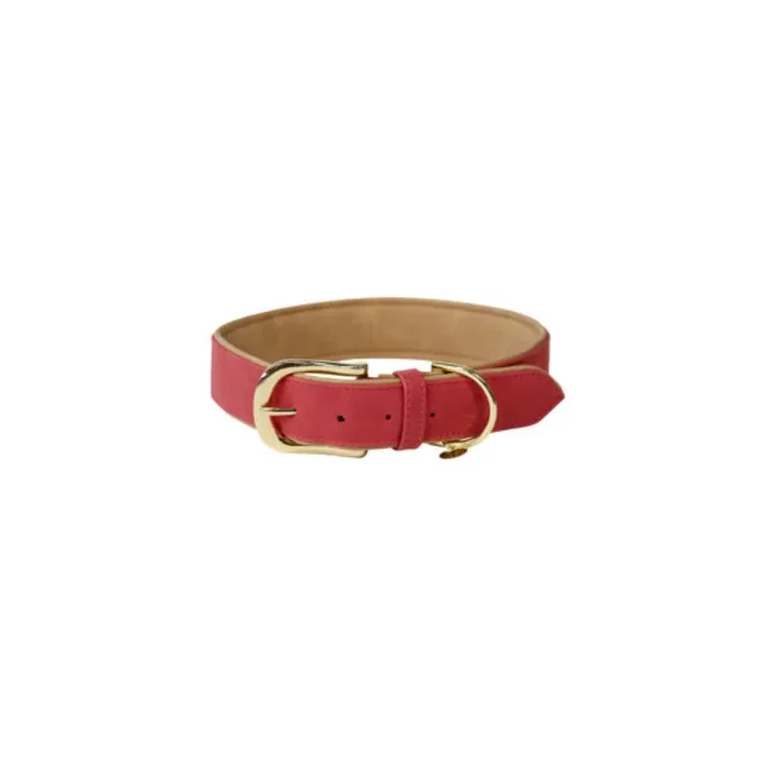 Vegan leather dog collar Kentucky
