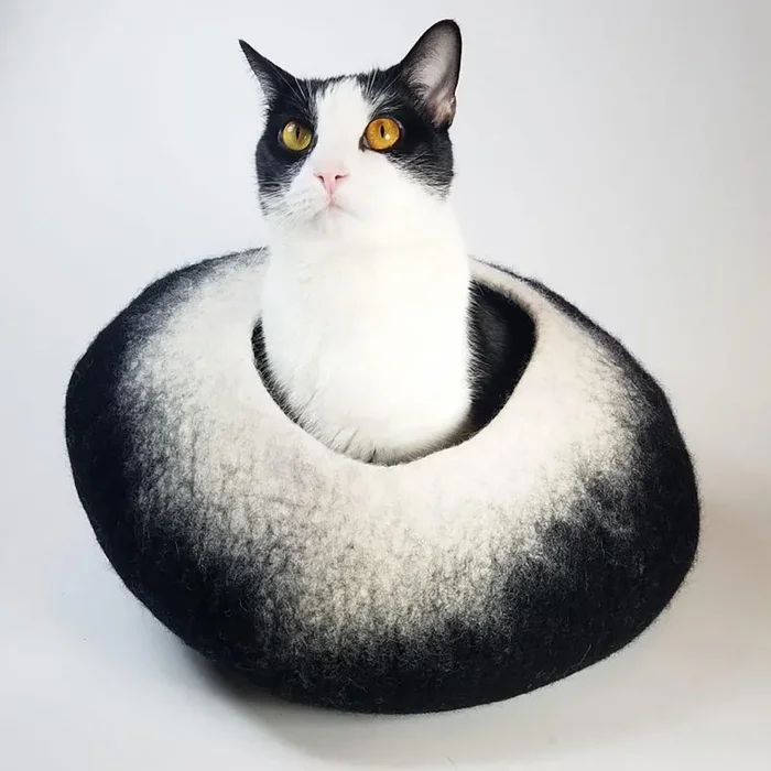 Walking Palm Cat Cave – Charcoal and White