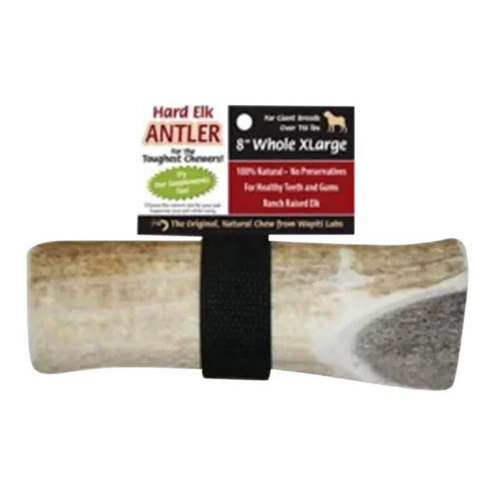 Wapiti Labs Elk Antler Dog Chews, 8″, XL Whole