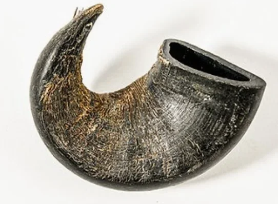 Water Buffalo Horn Single