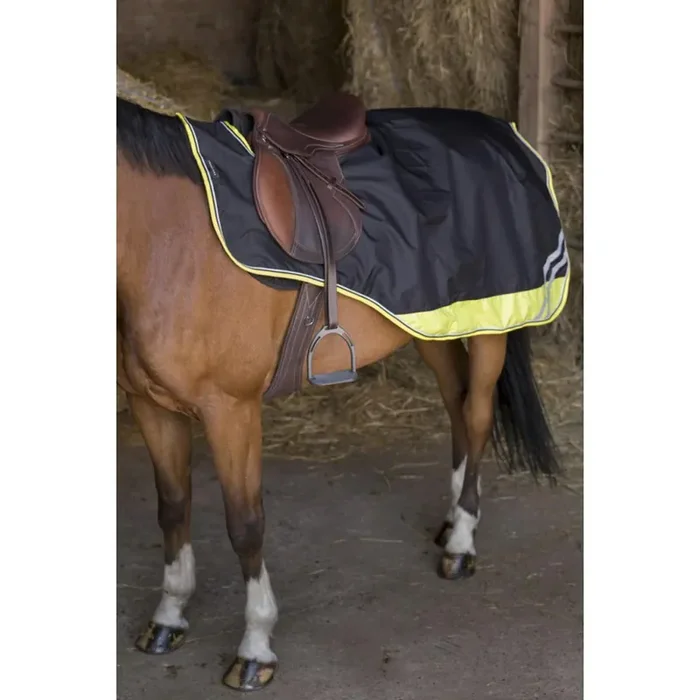 Waterproof horse rugs Equithème TYREX 600D