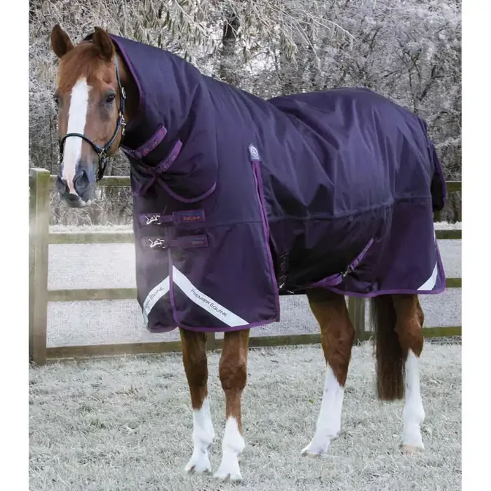 Waterproof outdoor horse blanket with neck cover Premier Equine Buster Storm Classic 420 g