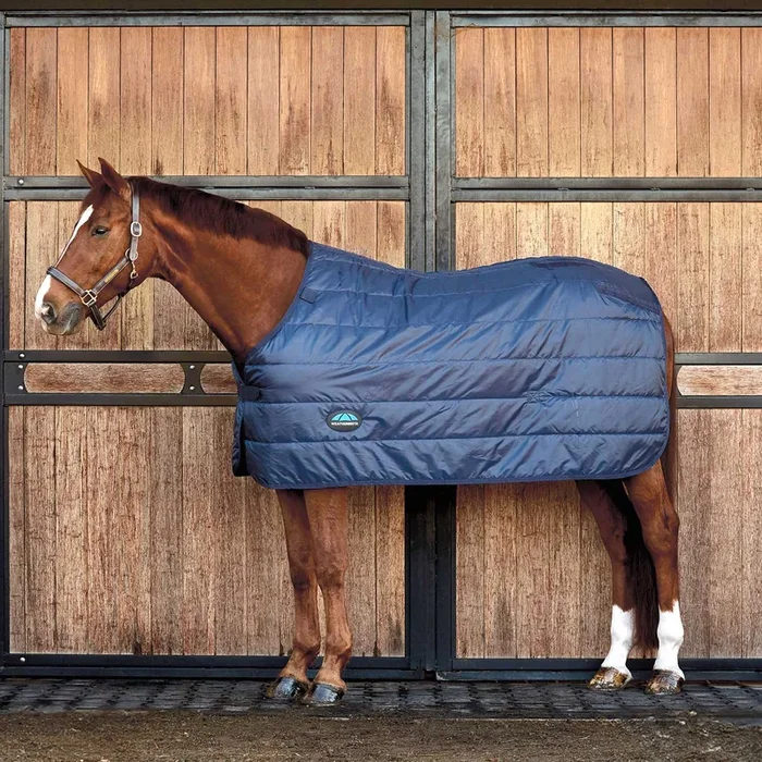 WeatherBeeta ComFiTec Liner for Horses, 100g Lightweight Standard Neck – Warm, Secure, and Layerable Horse Blanket Liner