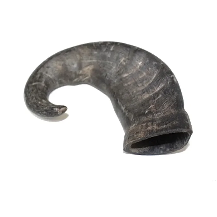 Wild Eats Bully Horn Dog Treat