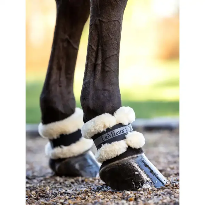 Wool horse protector LeMieux