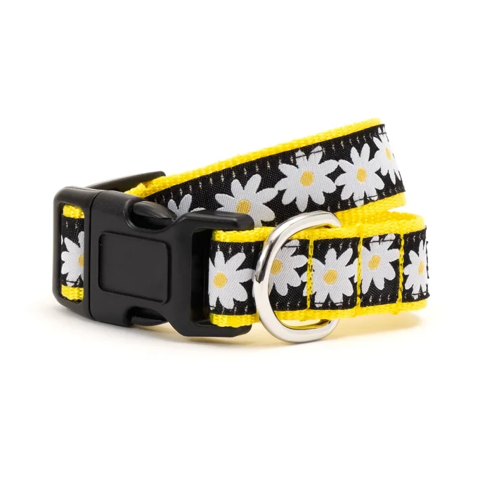 Worthy Dog Lazy Daisy Dog Collar – Black & Yellow