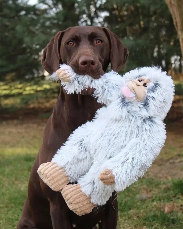 Yeti Squeaky Plush Dog Toy
