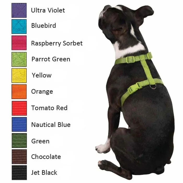 Zack & Zoey Nylon Dog Harness – Orange