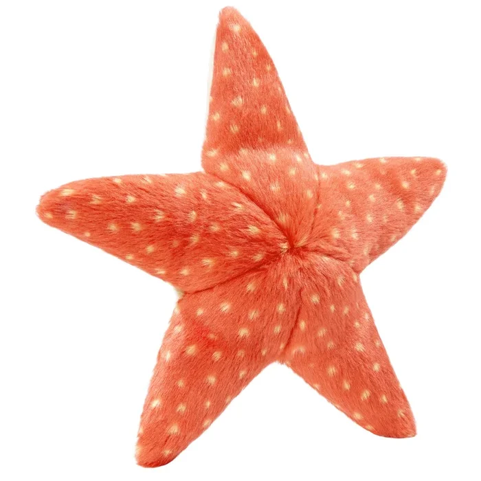 Ziggy Starfish