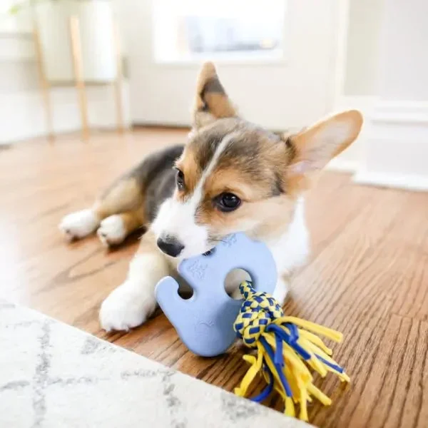 ZippyPaws ZippyTuff Teetherz – Elliot the Elephant