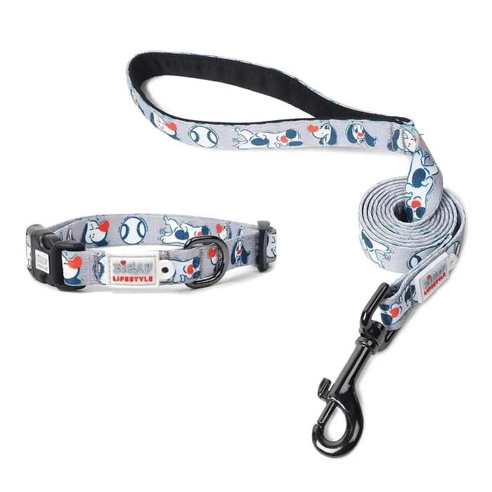 ZL Doodle Dog Collar & Leash Set – Grey