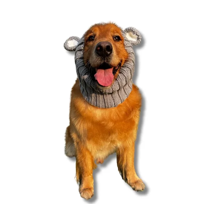 Zoo Snoods – Koala Dog Snood