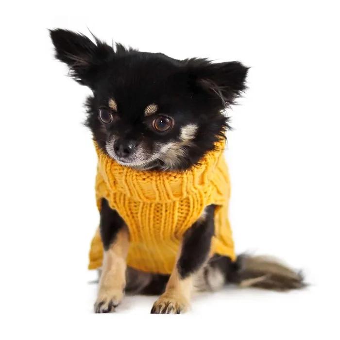 Zoo Snoods – Zoo Sweaters
